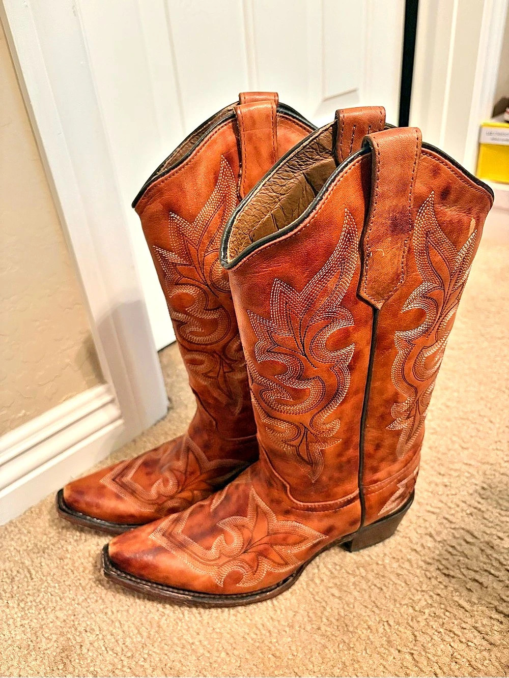 Circle G Embroidered Western Boots in Brown